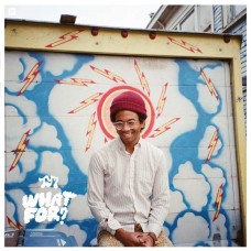 TORO Y MOI-WHAT FOR (CD)