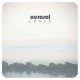 AEROSOL-LEAVE (LP)