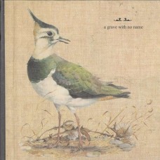 A GRAVE WITH NO NAME-FEATHERS WET UNDER THE.. (CD)