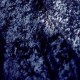 FORT RAMEAU-INSIDES (CD)