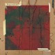 POISON IDEA-CONFUSE AND CONQUER (LP)