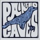 PAINTED CAVES-PAINTED CAVES (CD)
