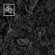 MOTH-AND THEN RISE (CD)