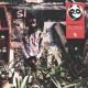 MY PANDA SHALL FLY-TOO (CD)