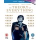 FILME-THEORY OF EVERYTHING (BLU-RAY)