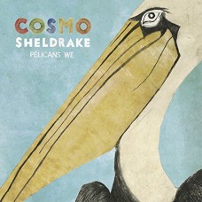 COSMO SHELDRAKE-PELICANS WE (12")