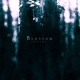 LUSTRE-BLOSSOM (CD)