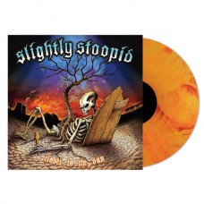 SLIGHTLY STOOPID-CLOSER TO THE SUN -COLOURED/ANNIV- (LP)