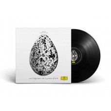 SNORRI HALLGRIMSSON-THE IMPORTANCE OF BIRDS -HQ- (LP)