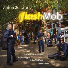 ANTON SCHWARTZ-FLASHMOB (CD)
