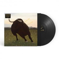 ROYSTON CLUB-SONGS FOR THE SPINE (LP)