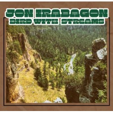 JON IRABAGON-BIRD WITH STREAMS (CD)