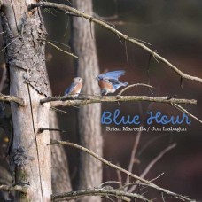 JON IRABAGON-BLUE HOUR (CD)
