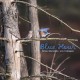 JON IRABAGON-BLUE HOUR (CD)