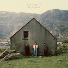 KINGFISHR-HALCYON (CD)