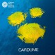 CARDUME-CARDUME (LP)