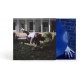 MALCOLM TODD-MALCOLM TODD -COLOURED- (LP)