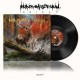 HEAVEN SHALL BURN-HEIMAT (LP)