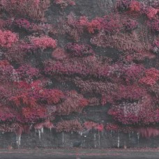 SLEEP TOKEN-EVEN IN ARCADIA (CD)