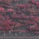 SLEEP TOKEN-EVEN IN ARCADIA (CD)