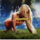 ZARA LARSSON-MIDNIGHT SUN (LP)
