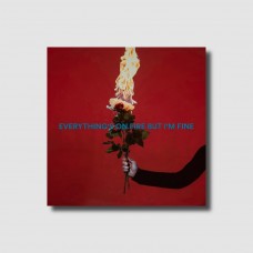 AS DECEMBER FALLS-EVERYTHING'S ON FIRE BUT I'M FINE -LTD/DELUXE- (CD)