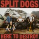SPLIT DOGS-HERE TO DESTROY (CD)