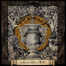 HOME TEAM-THE CRUCIBLE OF LIFE (LP)