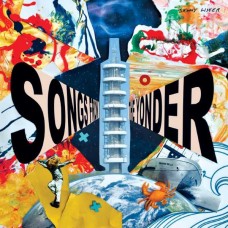 SKINNY LISTER-SONGS FROM THE YONDER (CD)