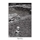 TELMA-MAN-EATER (CD)