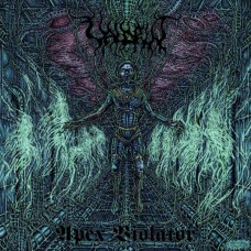 VALDRIN-APEX VIOLATOR (CD)
