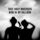 THEE HOLY BROTHERS-HIGH IN MY BALLOON (LP)