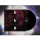 POP RITUAL-COLUMNS (LP)