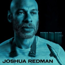 JOSHUA REDMAN-WORDS FALL SHORT (CD)