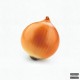 HARD LIFE-ONION (CD)