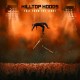 HILLTOP HOODS-FALL FROM THE LIGHT (CD)