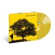 JACK JOHNSON-IN BETWEEN DREAMS -COLOURED- (LP)