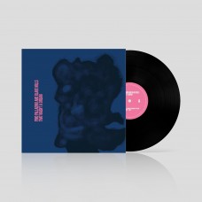 PINO PALLADINO & BLAKE MILLS-THAT WASN'T A DREAM (LP)