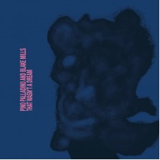 PINO PALLADINO & BLAKE MILLS-THAT WASN'T A DREAM (CD)