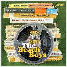 V/A-THE SONGS THAT SHAPED THE BEACH BOYS (CD)