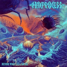 HAXPROCESS-BEYOND WHAT EYES CAN SEE (CD)