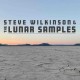STEVE WILKINSON & THE LUNAR SAMPLES-WILKINSON, STEVE & THE LUNAR SAMPLES (CD)