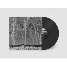 PILE-SUNSHINE AND BALANCE BEAMS (LP)