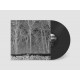 PILE-SUNSHINE AND BALANCE BEAMS (LP)