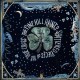 PINE HILL HAINTS-SHATTERED PIECES OF THE TRUE CROSS (LP)