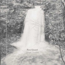 JOSEPH DECOSIMO-FIERY GIZZARD (CD)