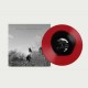 MAIA FRIEDMAN-GOODBYE LONG WINTER SHADOW -COLOURED- (LP)
