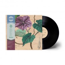 BEN LAMAR GAY-YOWZERS (LP)