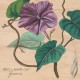 BEN LAMAR GAY-YOWZERS (CD)
