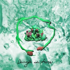 WOMBO-DANGER IN FIVES (CD)